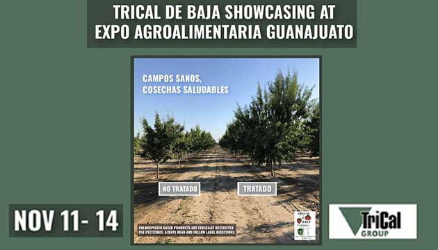 TriCal de Baja visits Expo AgroAlimentaria Guanajuato
