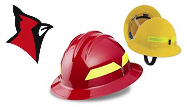 Young Figs are thriving with Landmark Irrigation