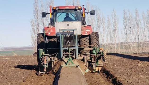 Soil Health Prepares Blueberries for a Healthy Success