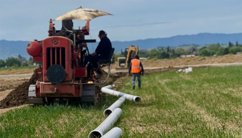 Landmark Irrigation Supports Healthy Pecan Trees