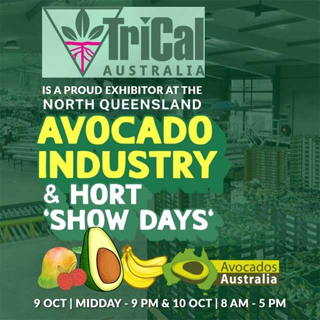 TriCal Australia at North Queensland Avocado Industry & Hort “Show Days”