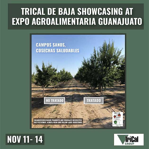 TriCal de Baja visits Expo AgroAlimentaria Guanajuato