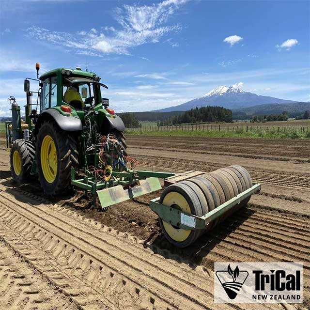 Strong Crops Start from the Ground Up 