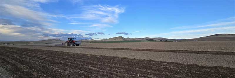 Strike Potato Trials in Eastern Idaho!
