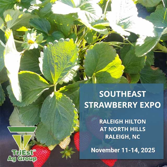 Triest Visits Southeast Strawberry Expo